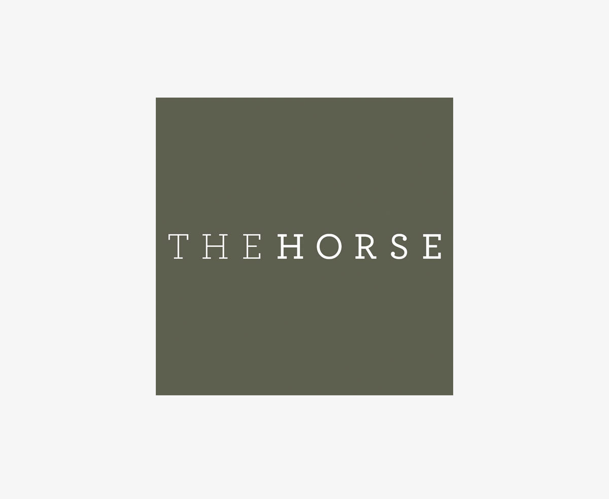 The Horse Watches