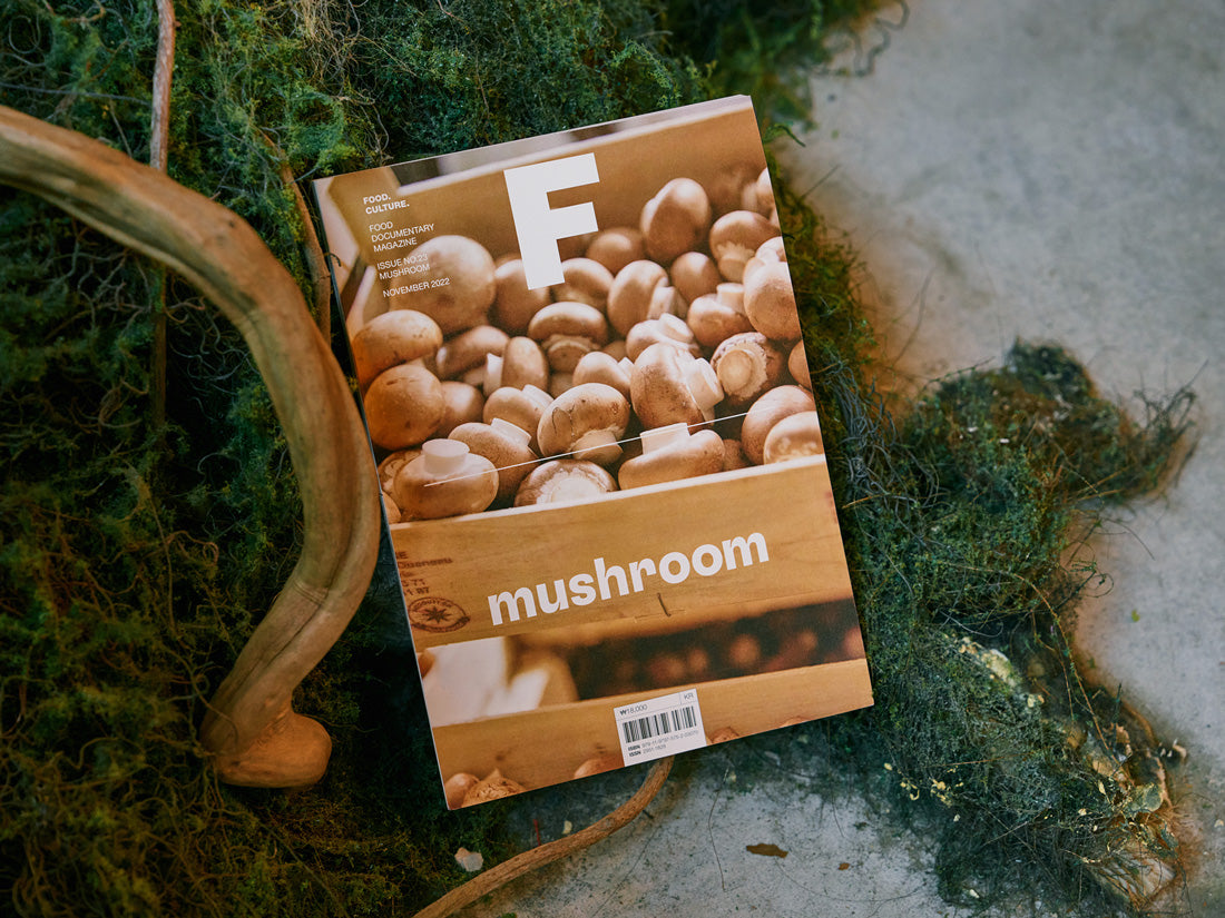 Food Documentary Magazine Issue 23 Mushroom