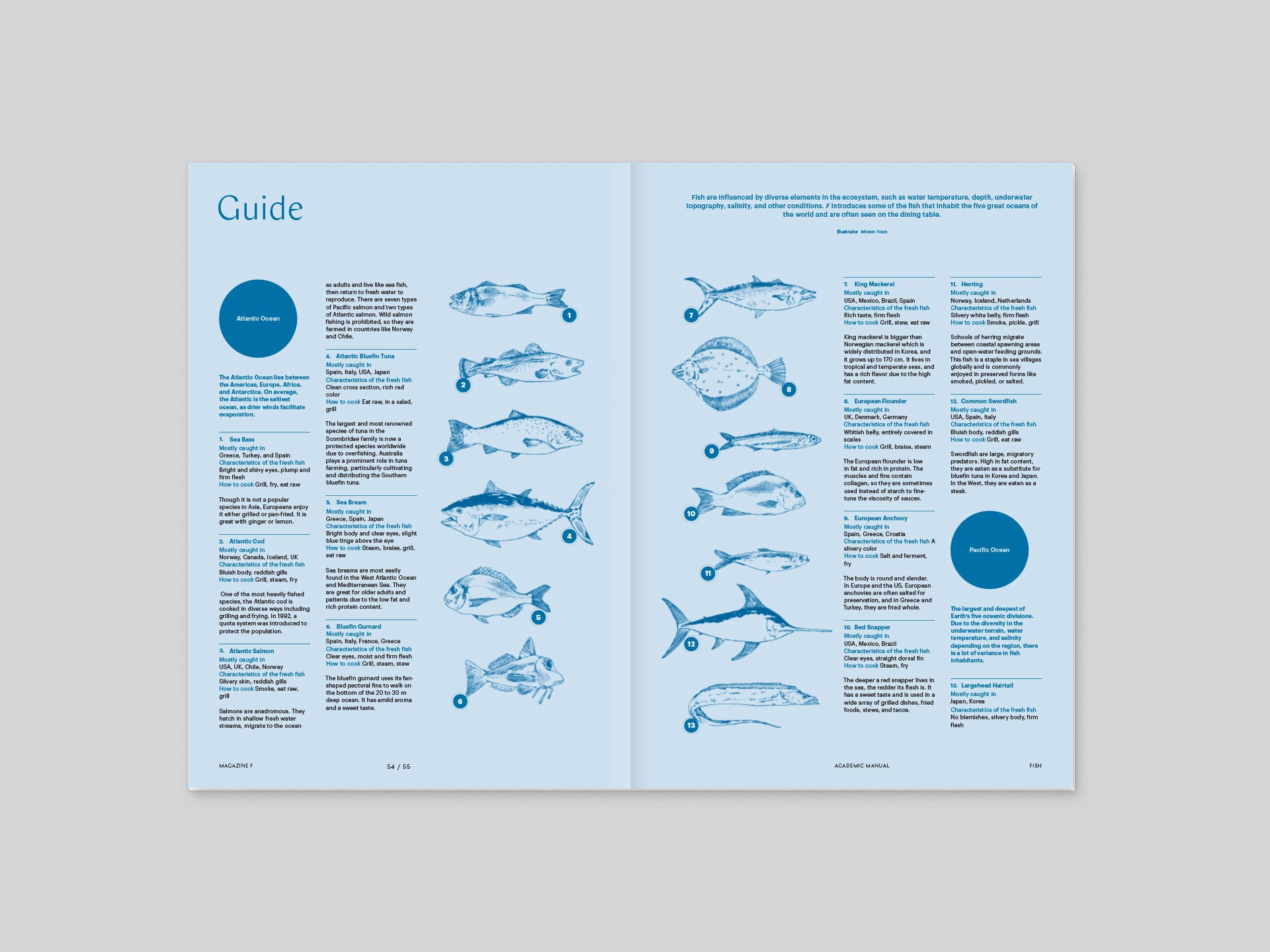 Food Documentary Magazine Issue 27 Fish