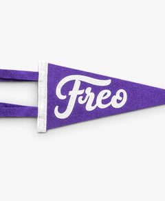 fgc-freo-mini-pennant-purple.webp