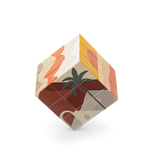 Journey of Something Art Cube — Desert
