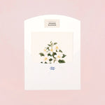 Botanical Scented Greeting Card Orange Blossom