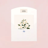 Botanical Scented Greeting Card Orange Blossom