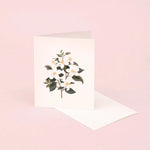 Botanical Scented Greeting Card Orange Blossom