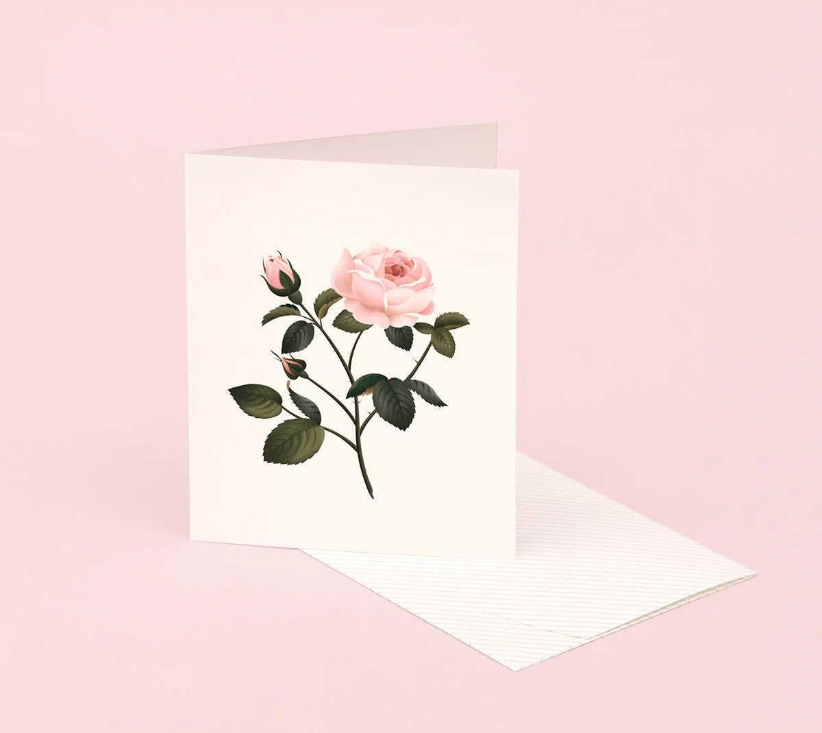 Botanical Scented Greeting Card Rose
