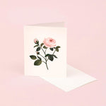Botanical Scented Greeting Card Rose