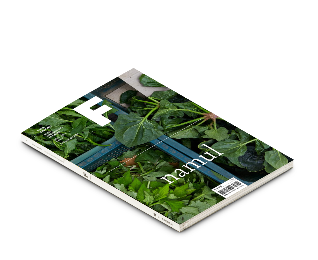 Food Documentary Magazine Issue 16 Namul