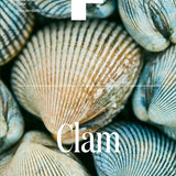 Food Documentary Magazine Issue 13 Clam