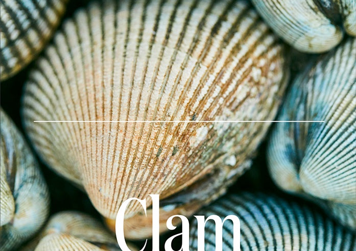 Food Documentary Magazine Issue 13 Clam