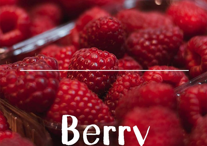 Food Documentary Magazine Issue 10 Berry