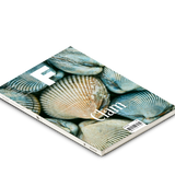 Food Documentary Magazine Issue 13 Clam