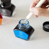 MD Bottled Pen Ink