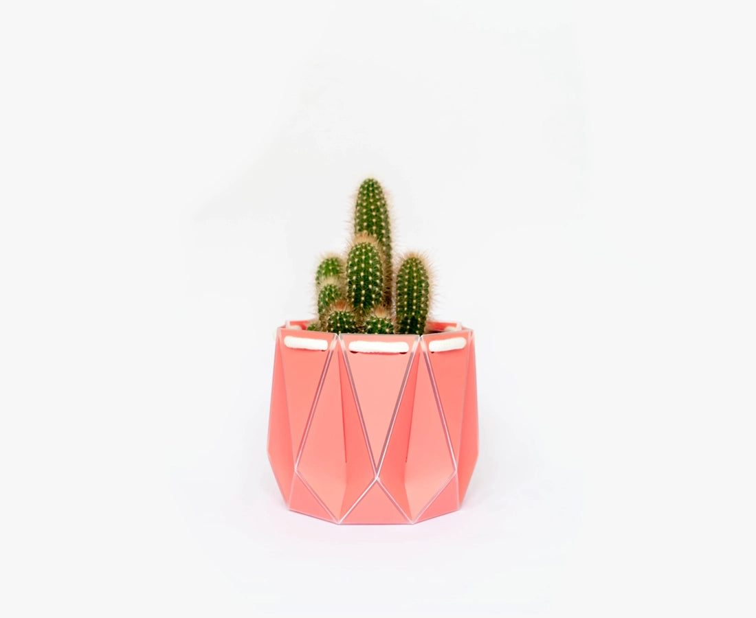 Medium POTR Self-Watering Plant Pot Coral