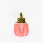 Medium POTR Self-Watering Plant Pot Coral