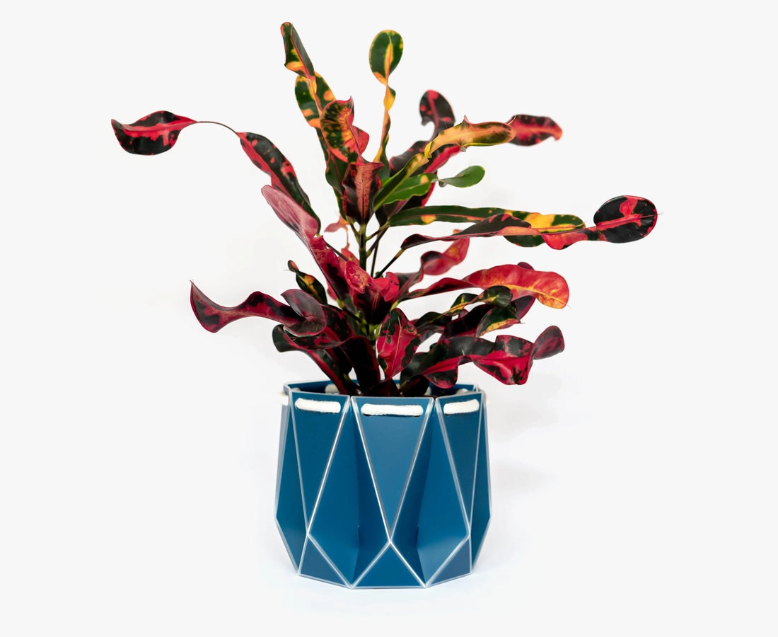 Medium POTR Self-Watering Plant Pot Navy