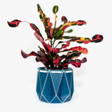 Medium POTR Self-Watering Plant Pot Navy