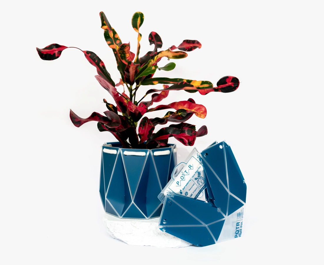 Medium POTR Self-Watering Plant Pot Navy