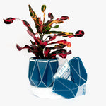 Medium POTR Self-Watering Plant Pot Navy