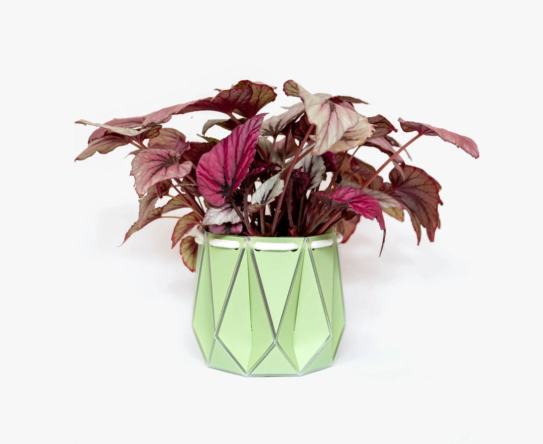 Medium POTR Self-Watering Plant Pot Pistachio