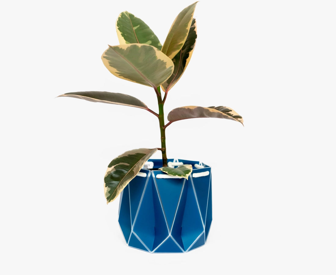 Large POTR Self-Watering Plant Pot Navy