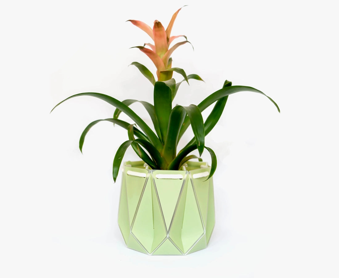 Large POTR Self-Watering Plant Pot Pistachio