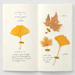 025 Traveller's Notebook MD Paper Cream Refill
