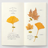 025 Traveller's Notebook MD Paper Cream Refill