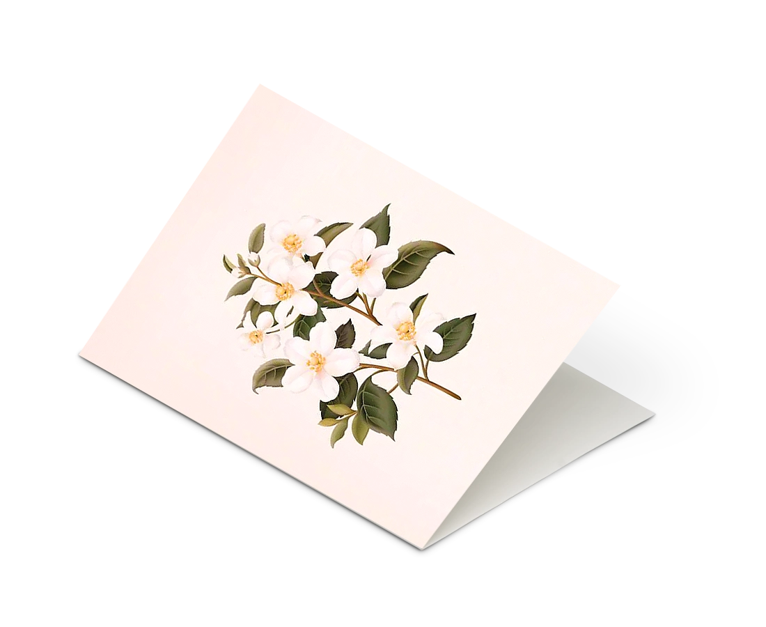 Botanical Scented Greeting Card Orange Blossom