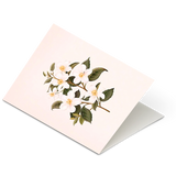 Botanical Scented Greeting Card Orange Blossom