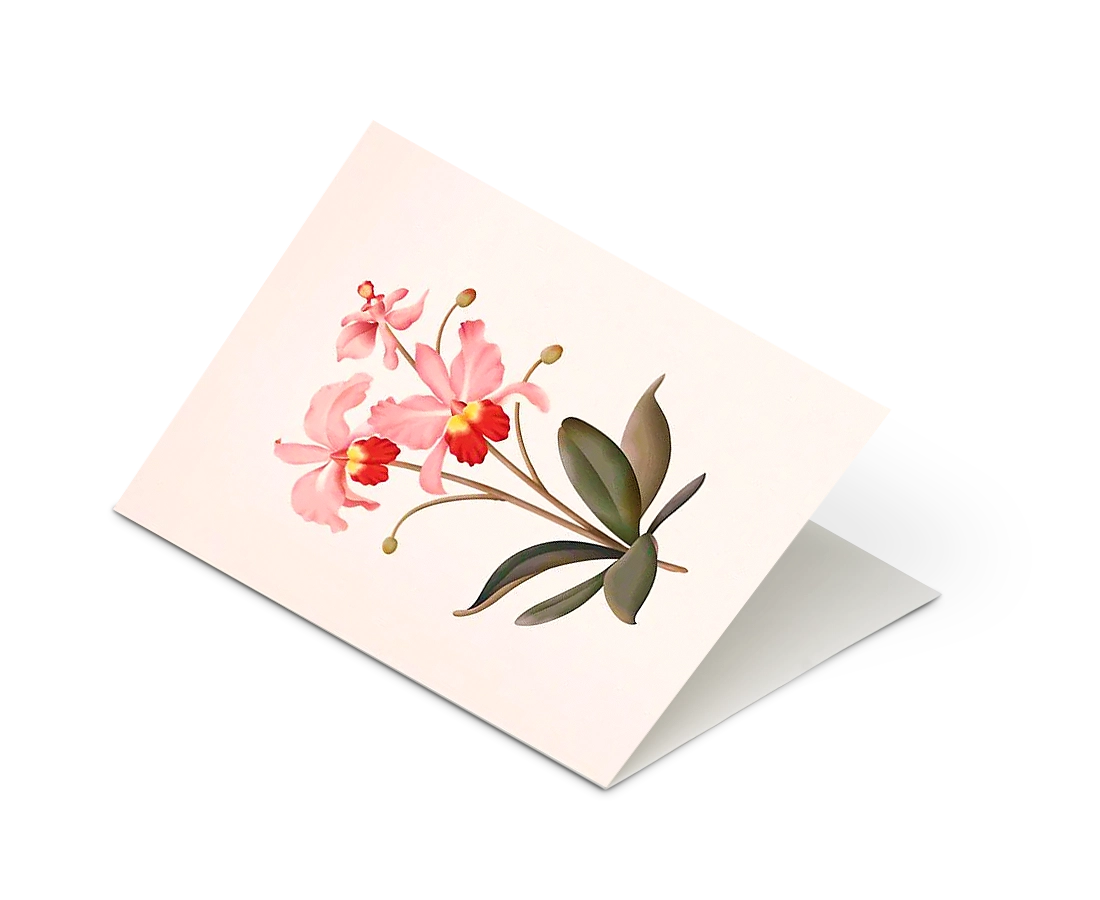 Botanical Scented Greeting Card Orchid