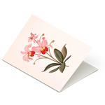 Botanical Scented Greeting Card Orchid