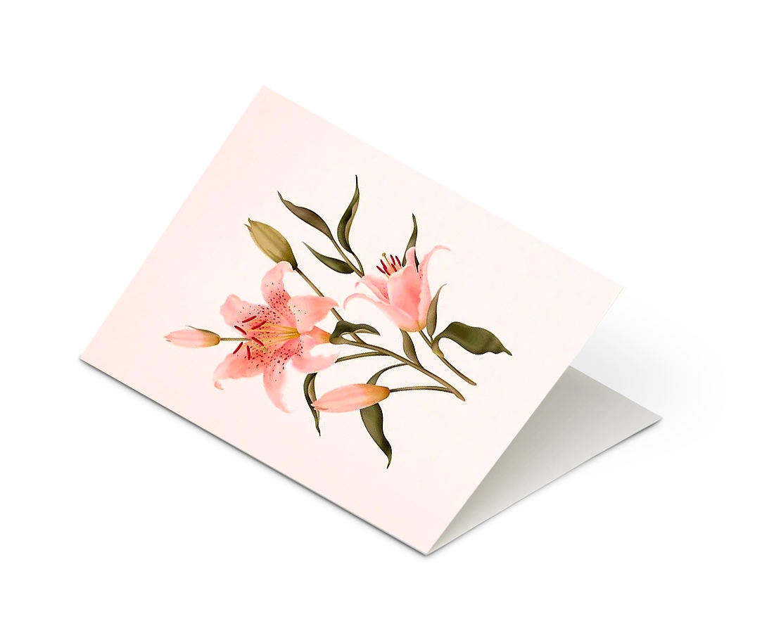 Botanical Scented Greeting Card Oriental Lily