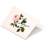 Botanical Scented Greeting Card Rose