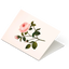 Botanical Scented Greeting Card Rose
