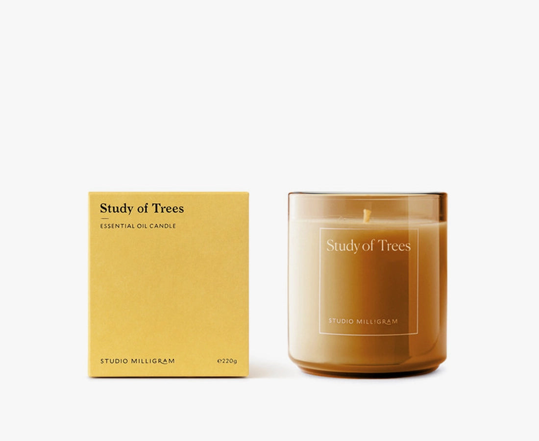 Essential Oil Candle · Study of Trees 220g